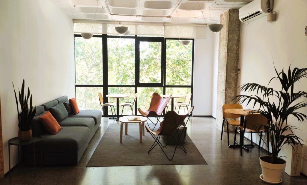 sanseviera marketing